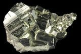 Gleaming Pyrite Crystal Cluster - Peru #142653-1